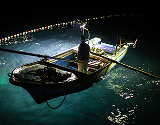 与肯尼亚难民营合作