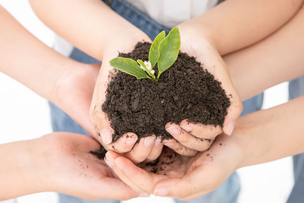 承担社会责任，共创美好未来